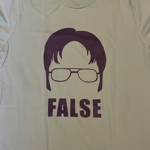 The Office: Dwight Schrute cotton mint green t-shirt